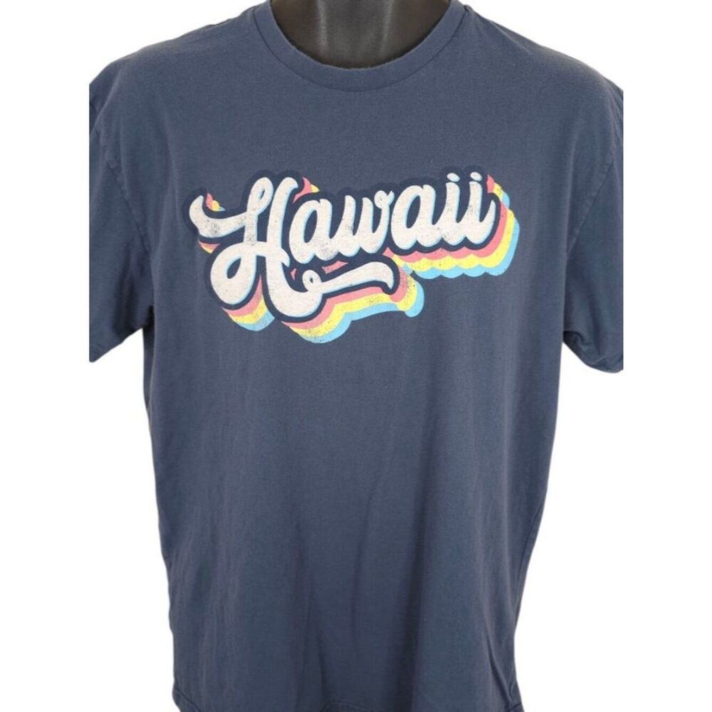 Hawaii T Shirt Mens Size Large Blue Gray Surfer Hawaiian Travel Destination Tee